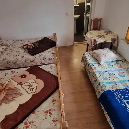 Casa Mititelu コスティネシュティ