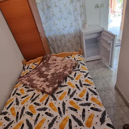 Casa Mititelu コスティネシュティ