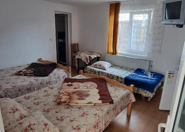 Casa Mititelu Pensjonat 2*